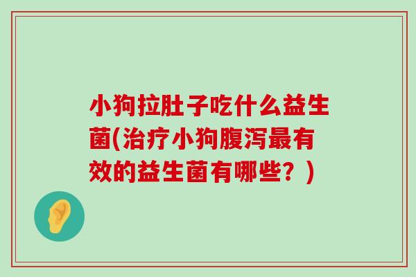 小狗拉肚子吃什么益生菌(治疗小狗腹泻最有效的益生菌有哪些？)