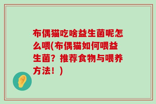 布偶猫吃啥益生菌呢怎么喂(布偶猫如何喂益生菌？推荐食物与喂养方法！)