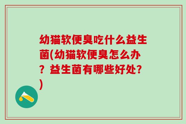幼猫软便臭吃什么益生菌(幼猫软便臭怎么办？益生菌有哪些好处？)
