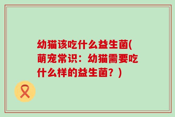 幼猫该吃什么益生菌(萌宠常识：幼猫需要吃什么样的益生菌？)