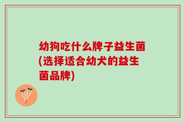 幼狗吃什么牌子益生菌(选择适合幼犬的益生菌品牌)