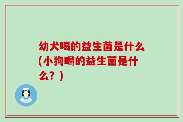 幼犬喝的益生菌是什么(小狗喝的益生菌是什么？)