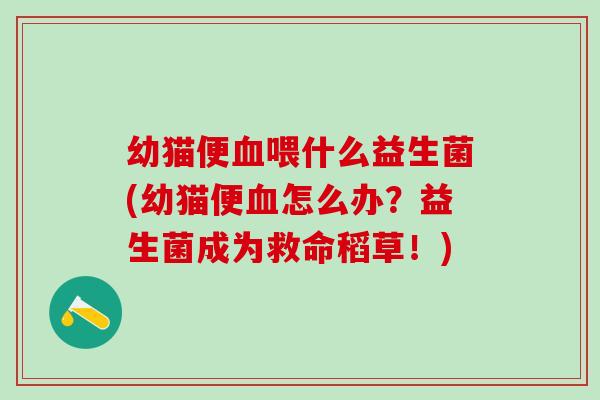 幼猫便血喂什么益生菌(幼猫便血怎么办？益生菌成为救命稻草！)