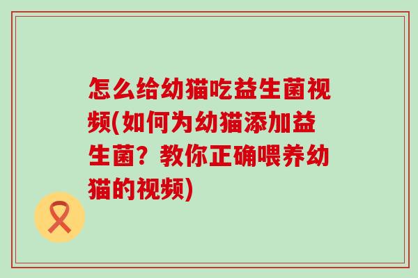 怎么给幼猫吃益生菌视频(如何为幼猫添加益生菌?教你正确喂养幼猫的视频) 怎么给幼猫吃益生菌视频(如何为幼猫添加益生菌?教你正确喂养幼猫的视频)