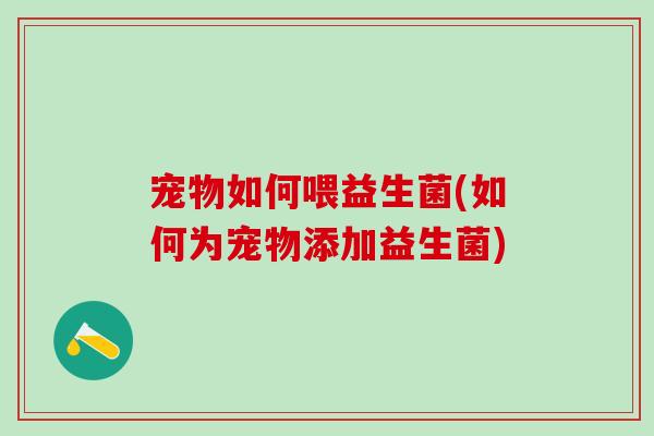 宠物如何喂益生菌(如何为宠物添加益生菌)