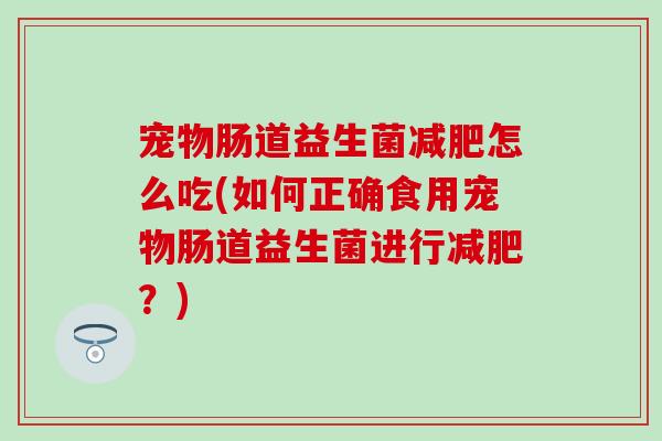 宠物肠道益生菌减肥怎么吃(如何正确食用宠物肠道益生菌进行减肥？)