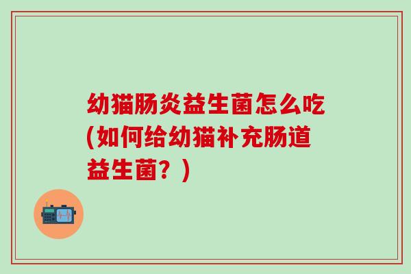 幼猫肠炎益生菌怎么吃(如何给幼猫补充肠道益生菌？)