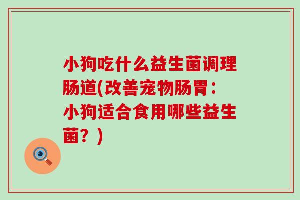 小狗吃什么益生菌调理肠道(改善宠物肠胃：小狗适合食用哪些益生菌？)
