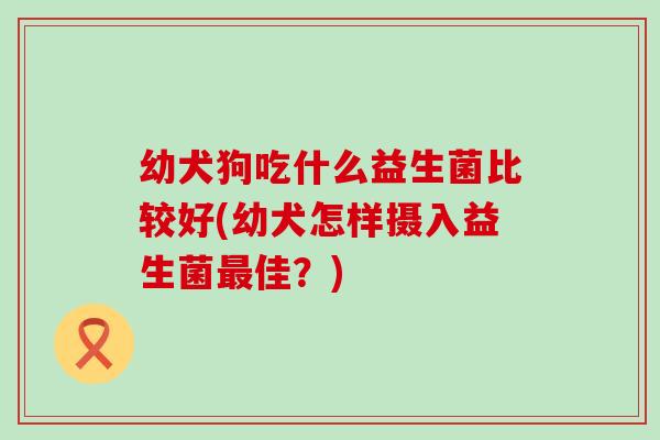 幼犬狗吃什么益生菌比较好(幼犬怎样摄入益生菌佳？)