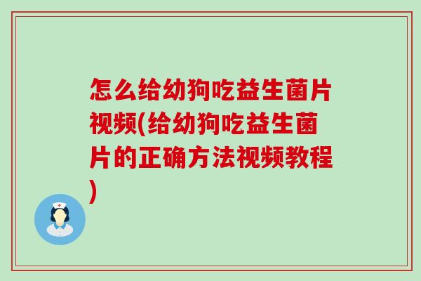 怎么给幼狗吃益生菌片视频(给幼狗吃益生菌片的正确方法视频教程)