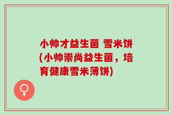 小帅才益生菌 雪米饼(小帅崇尚益生菌，培育健康雪米薄饼)