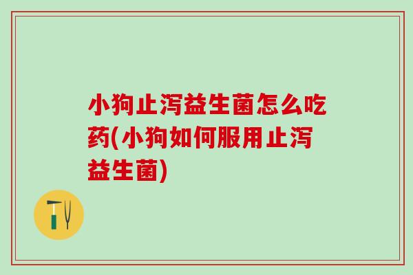 小狗止泻益生菌怎么吃药(小狗如何服用止泻益生菌)