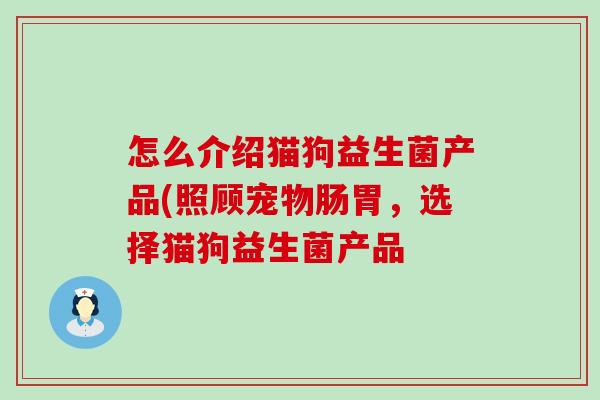 怎么介绍猫狗益生菌产品(照顾宠物肠胃，选择猫狗益生菌产品