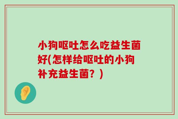 小狗呕吐怎么吃益生菌好(怎样给呕吐的小狗补充益生菌？)