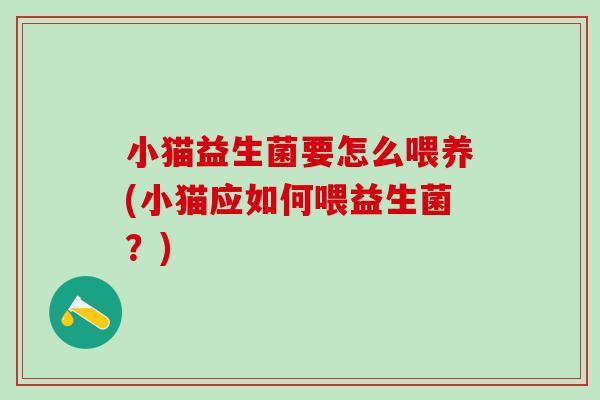 小猫益生菌要怎么喂养(小猫应如何喂益生菌？)