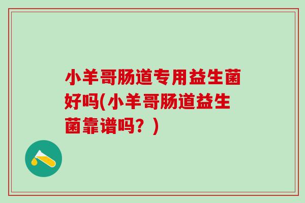 小羊哥肠道专用益生菌好吗(小羊哥肠道益生菌靠谱吗？)