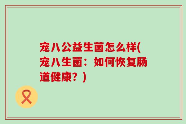 宠八公益生菌怎么样(宠八生菌：如何恢复肠道健康？)