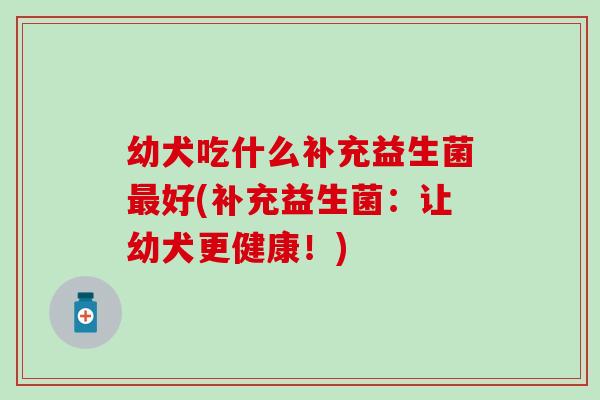 幼犬吃什么补充益生菌最好(补充益生菌：让幼犬更健康！)