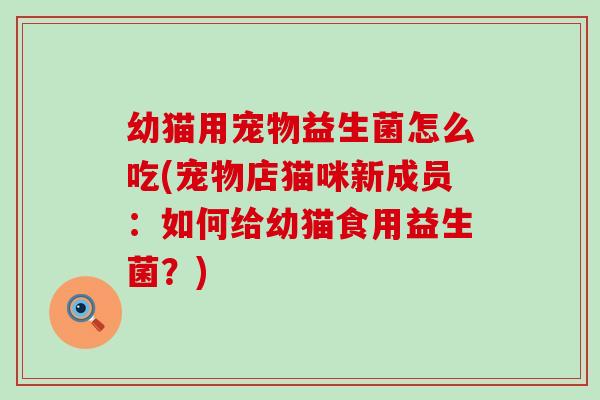 幼猫用宠物益生菌怎么吃(宠物店猫咪新成员：如何给幼猫食用益生菌？)