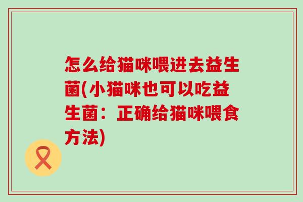 怎么给猫咪喂进去益生菌(小猫咪也可以吃益生菌：正确给猫咪喂食方法)