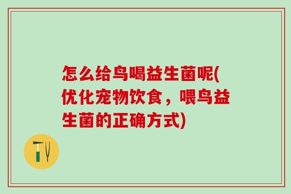 怎么给鸟喝益生菌呢(优化宠物饮食，喂鸟益生菌的正确方式)