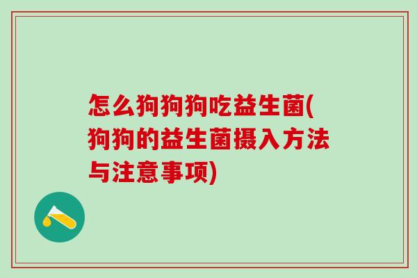 怎么狗狗狗吃益生菌(狗狗的益生菌摄入方法与注意事项)