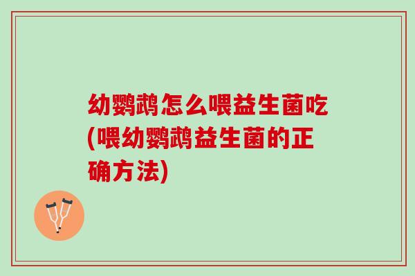 幼鹦鹉怎么喂益生菌吃(喂幼鹦鹉益生菌的正确方法)