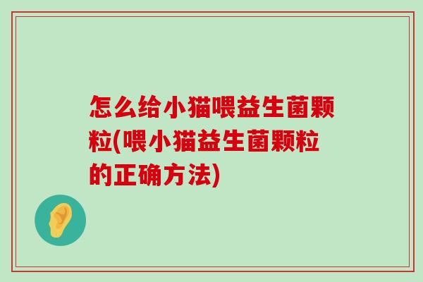 怎么给小猫喂益生菌颗粒(喂小猫益生菌颗粒的正确方法)