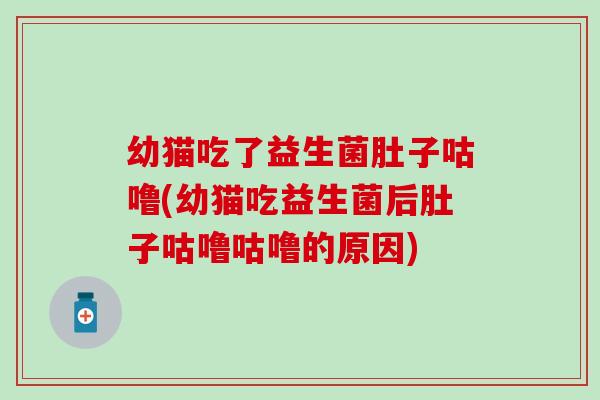 幼猫吃了益生菌肚子咕噜(幼猫吃益生菌后肚子咕噜咕噜的原因)