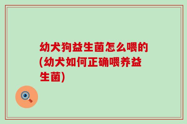 幼犬狗益生菌怎么喂的(幼犬如何正确喂养益生菌)