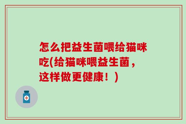 怎么把益生菌喂给猫咪吃(给猫咪喂益生菌，这样做更健康！)