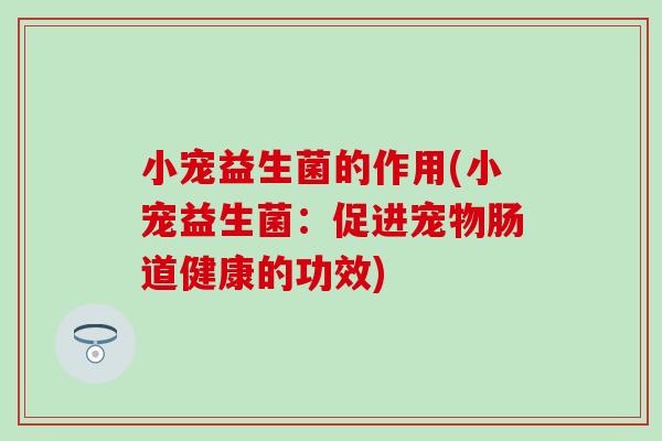 小宠益生菌的作用(小宠益生菌:促进宠物肠道健康的功效) 小宠益生菌的作用(小宠益生菌:促进宠物肠道健康的功效)