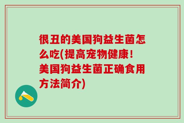 很丑的美国狗益生菌怎么吃(提高宠物健康！美国狗益生菌正确食用方法简介)