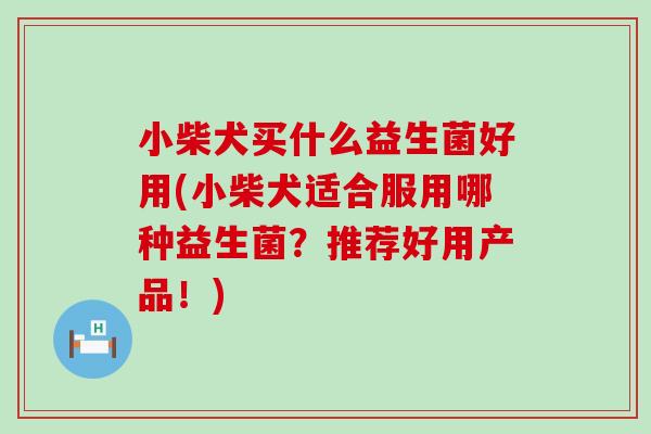 小柴犬买什么益生菌好用(小柴犬适合服用哪种益生菌？推荐好用产品！)