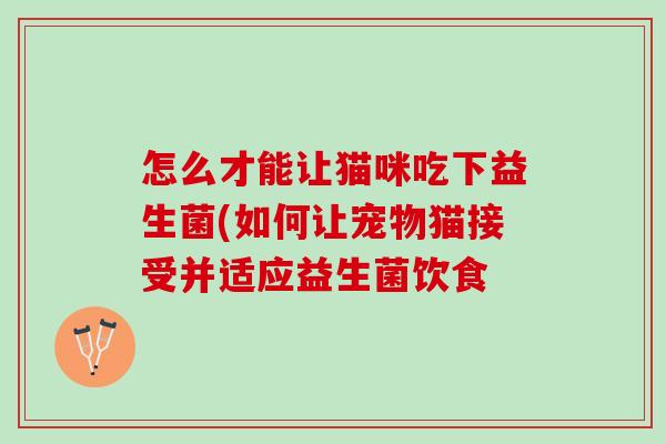 怎么才能让猫咪吃下益生菌(如何让宠物猫接受并适应益生菌饮食