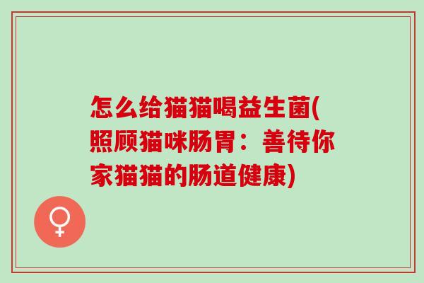 怎么给猫猫喝益生菌(照顾猫咪肠胃：善待你家猫猫的肠道健康)