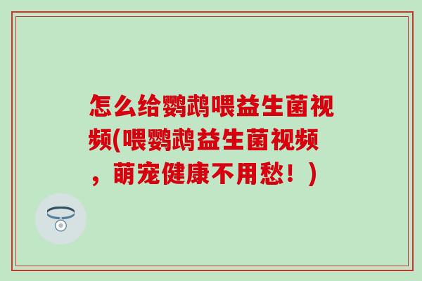 怎么给鹦鹉喂益生菌视频(喂鹦鹉益生菌视频,萌宠健康不用愁!) 怎么给鹦鹉喂益生菌视频(喂鹦鹉益生菌视频,萌宠健康不用愁!)