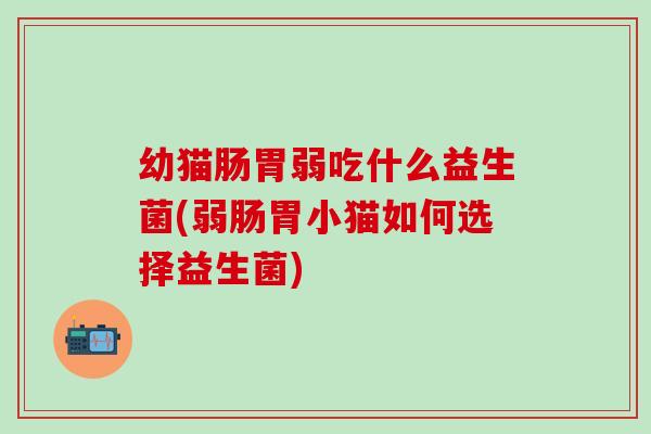 幼猫肠胃弱吃什么益生菌(弱肠胃小猫如何选择益生菌)