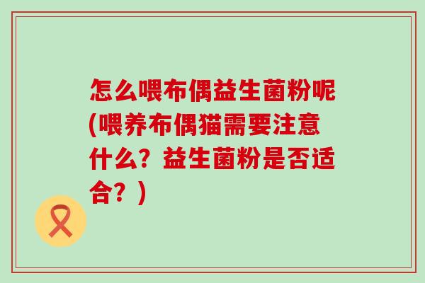怎么喂布偶益生菌粉呢(喂养布偶猫需要注意什么?益生菌粉是否适合?) 怎么喂布偶益生菌粉呢(喂养布偶猫需要注意什么?益生菌粉是否适合?)