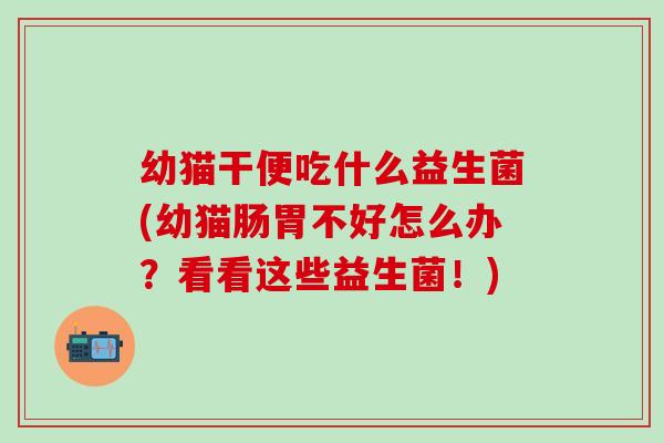 幼猫干便吃什么益生菌(幼猫肠胃不好怎么办?看看这些益生菌!) 幼猫干便吃什么益生菌(幼猫肠胃不好怎么办?看看这些益生菌!)