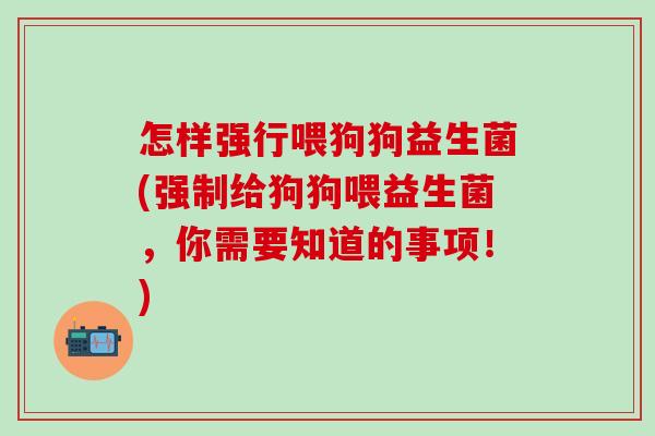 怎样强行喂狗狗益生菌(强制给狗狗喂益生菌，你需要知道的事项！)