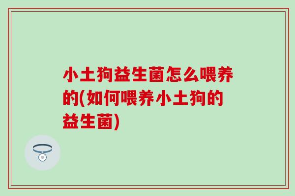 小土狗益生菌怎么喂养的(如何喂养小土狗的益生菌)