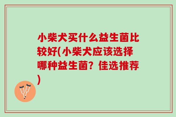 小柴犬买什么益生菌比较好(小柴犬应该选择哪种益生菌？佳选推荐)