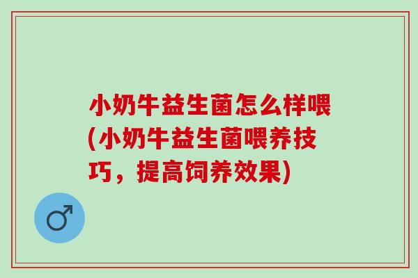 小奶牛益生菌怎么样喂(小奶牛益生菌喂养技巧，提高饲养效果)