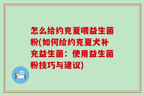 怎么给约克夏喂益生菌粉(如何给约克夏犬补充益生菌：使用益生菌粉技巧与建议)