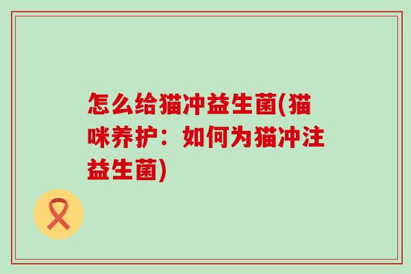 怎么给猫冲益生菌(猫咪养护:如何为猫冲注益生菌) 怎么给猫冲益生菌(猫咪养护:如何为猫冲注益生菌)