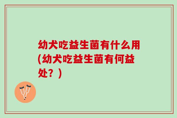 幼犬吃益生菌有什么用(幼犬吃益生菌有何益处？)