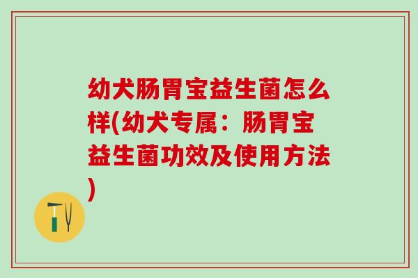 幼犬肠胃宝益生菌怎么样(幼犬专属：肠胃宝益生菌功效及使用方法)