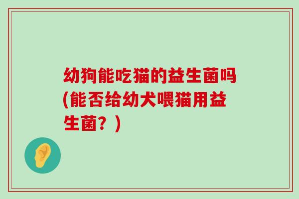 幼狗能吃猫的益生菌吗(能否给幼犬喂猫用益生菌？)