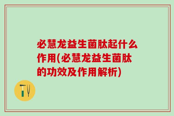 必慧龙益生菌肽起什么作用(必慧龙益生菌肽的功效及作用解析)